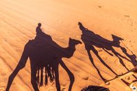 IMG_5524_Wadi-Rum-Kamelreiten